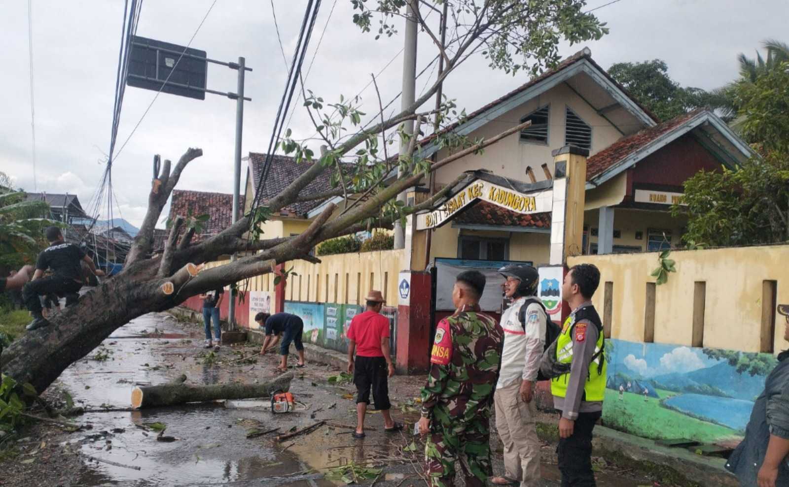 Hujan Disertai Angin Kencang Robohkan Pohon, Akses Jalan Desa Cisaat Sempat Terputus